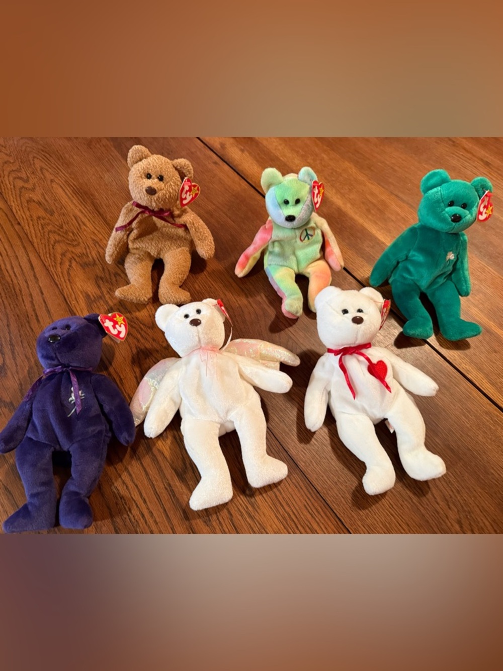 Ty Plush Bear Collection-set of 6 bears
